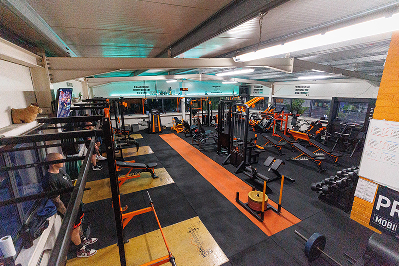 GYM-6